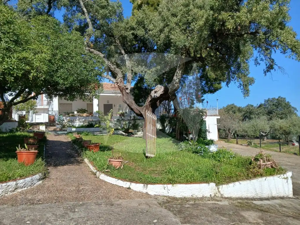 Jardí de Casa o xalet en venda en Cáceres amb Aire condicionat, Terrassa i Piscina