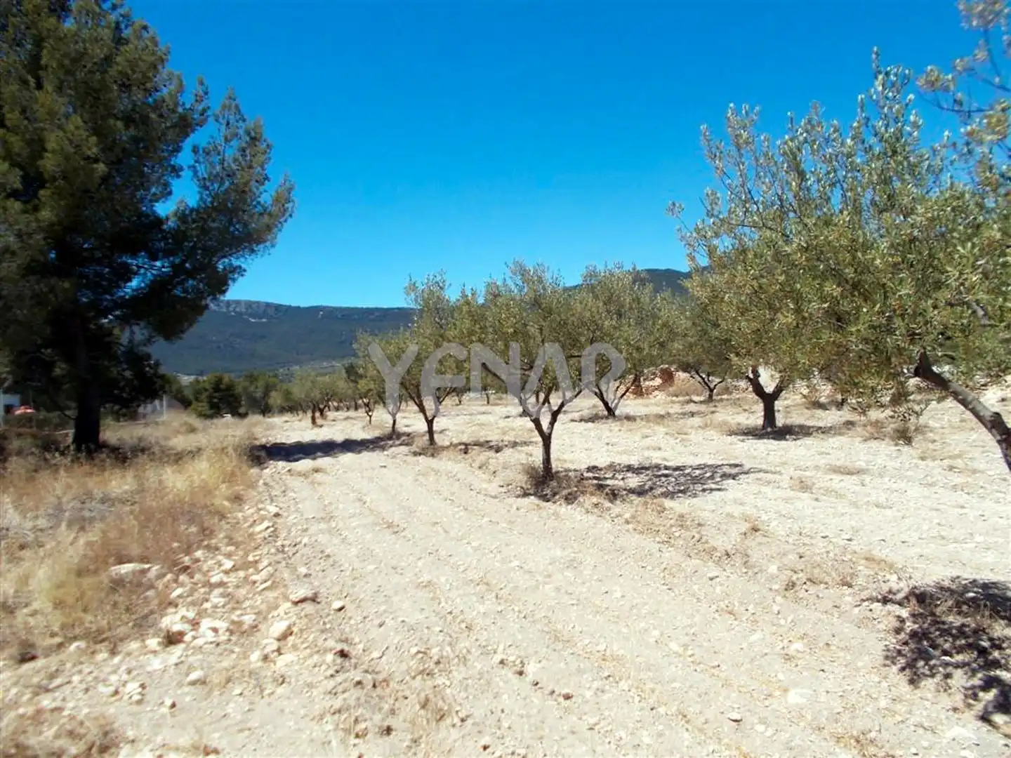 Terreny rústic en venda a Castalla, imagen 6