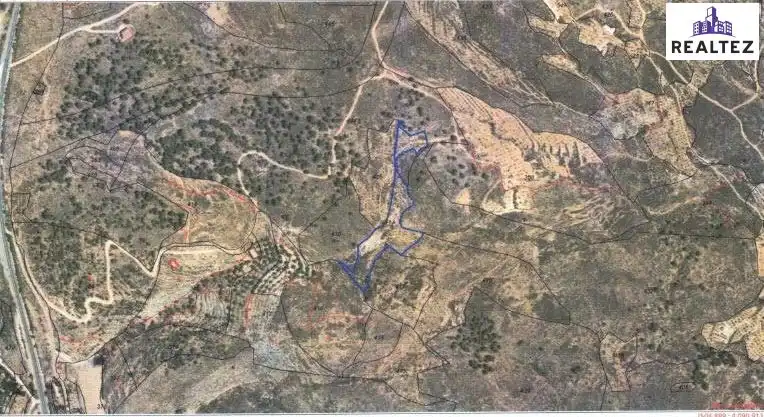 Terrain rustique à vendre à Alcolea, imagen 25
