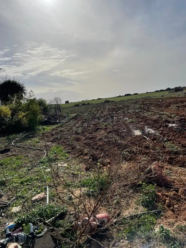 Rural land for sale in Barrio Nuevo, imagen 6