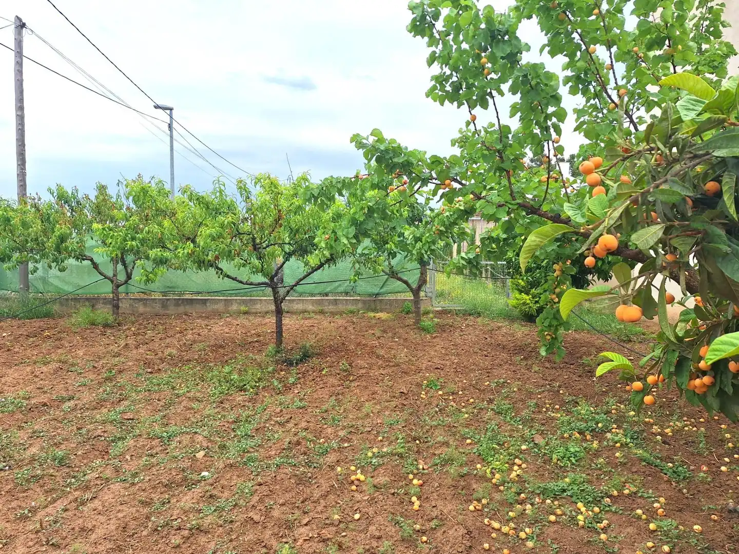 Country homes for sale in Sangonera la Seca
