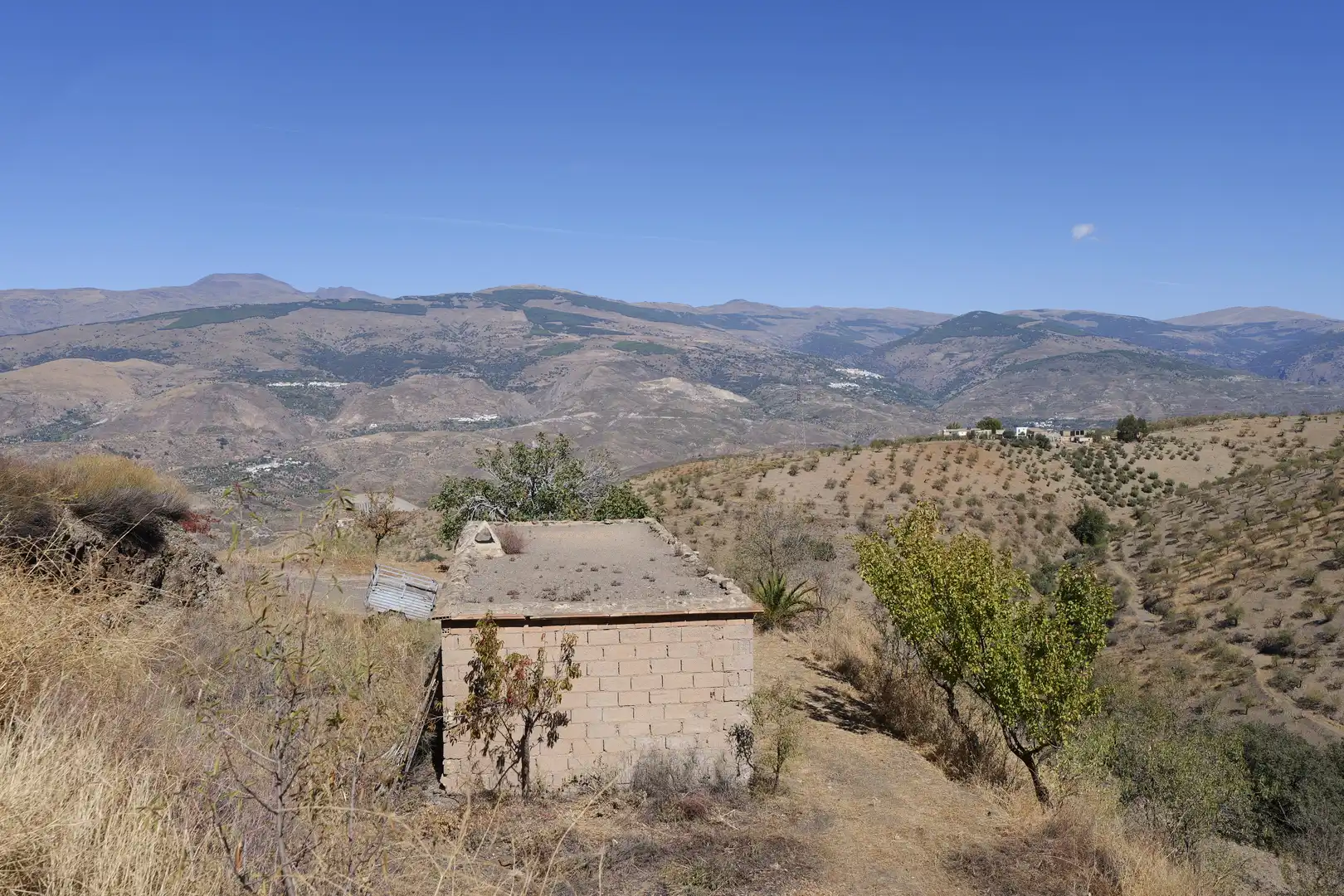 Finca rústica en venta en Cádiar