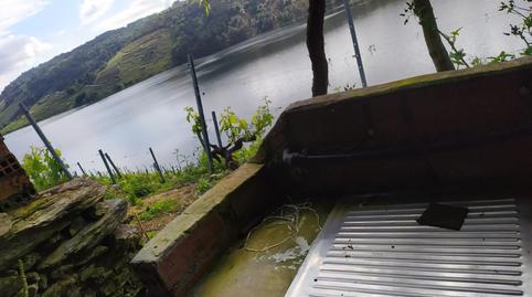 Foto 5 de Finca rústica en venda a O Saviñao , Lugo