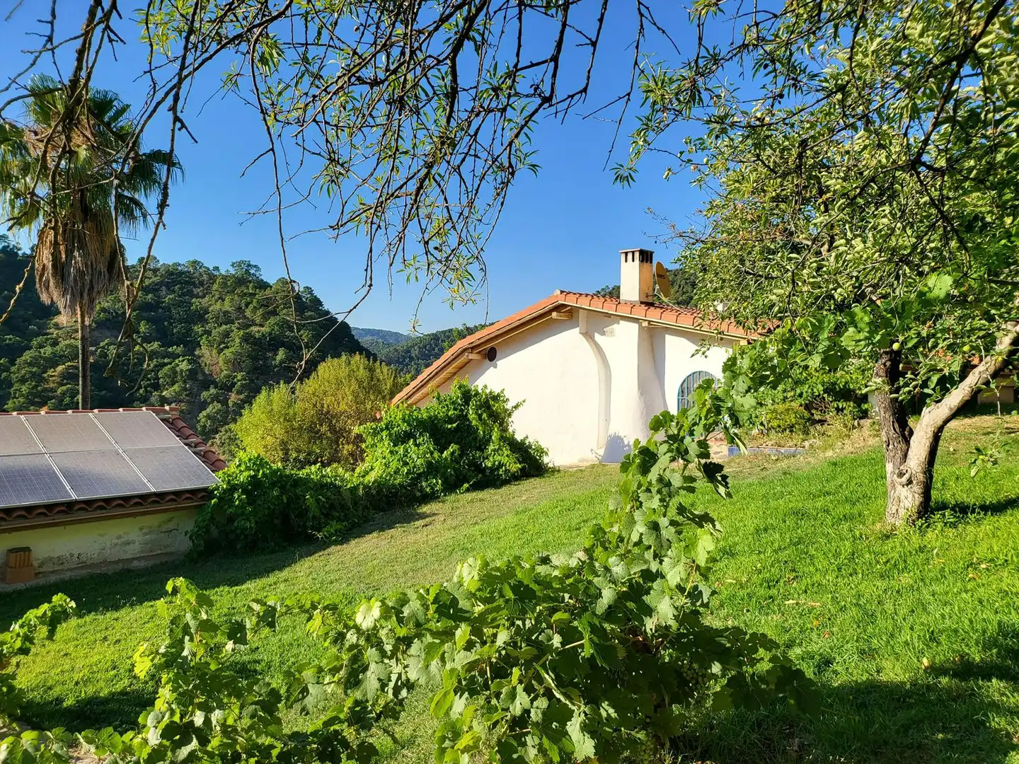 Exterior view of Houses for sale in Genalguacil  with Private garden, Terrace and Storage room
