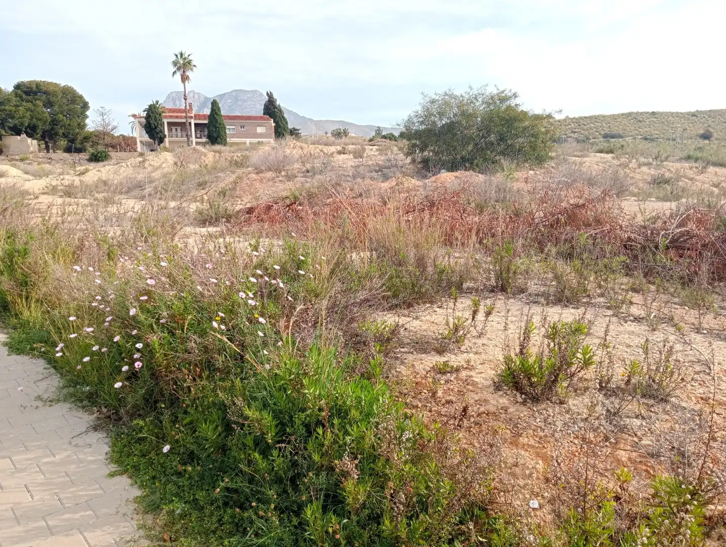 Terrenos y solares en venta en Platja de Torres, imagen 10