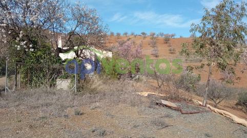 Foto 3 de Finca rústica en venta en Torrecilla, Murcia