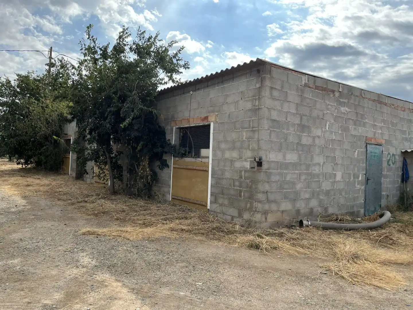 Terrain rustique à vendre à Partida Guardamar 25, imagen 5