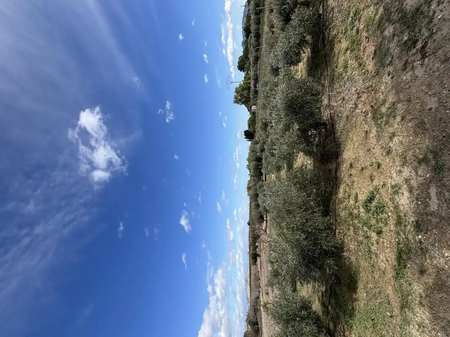 Finca rústica en venda en Fortuna amb Jardí privat, Traster i Moblat