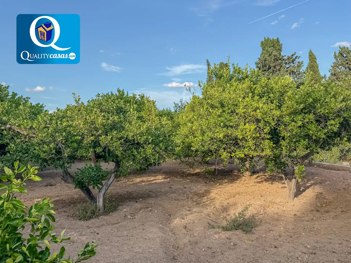 Casa o xalet en venda en Partidas de Alicante