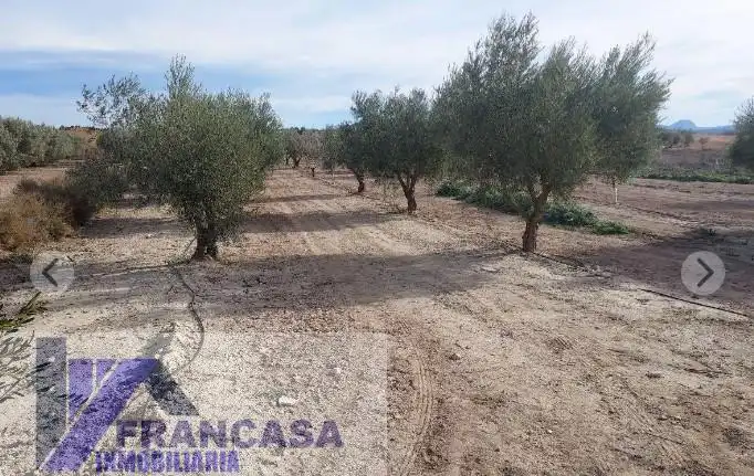 Finca rústica en venta en El Pinós / Pinoso