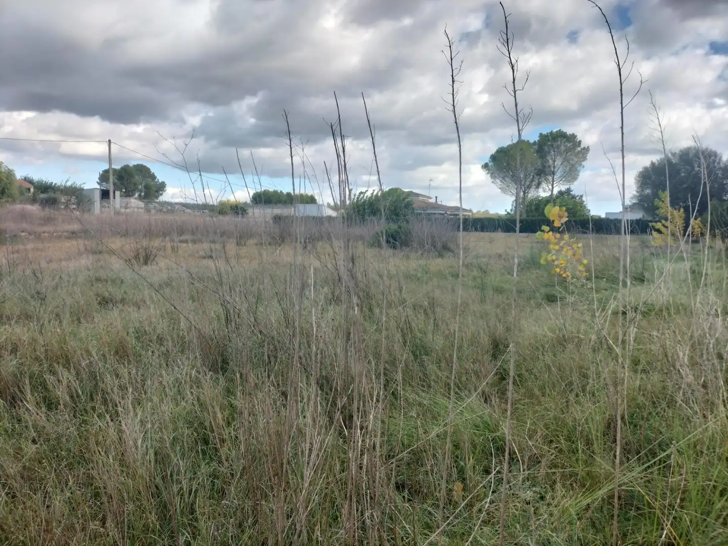 Terreno residenziale in vendita a Urbanizacion PLAYA MONTE 1 318, imagen 17
