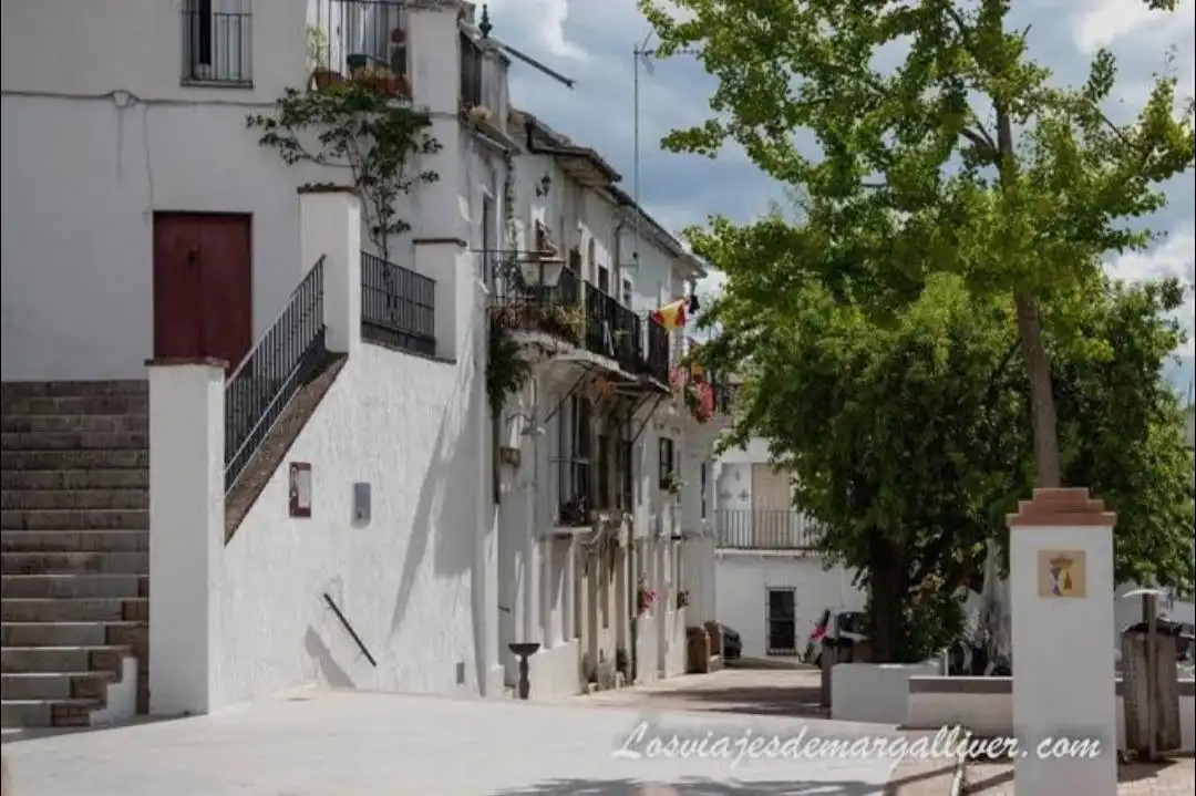 Terreni e lotti in vendita a Calle LENTISCO, imagen 4