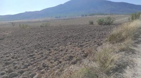 Photo 2 of Land for sale in Paraje de Benis, Parce, Cieza, Murcia