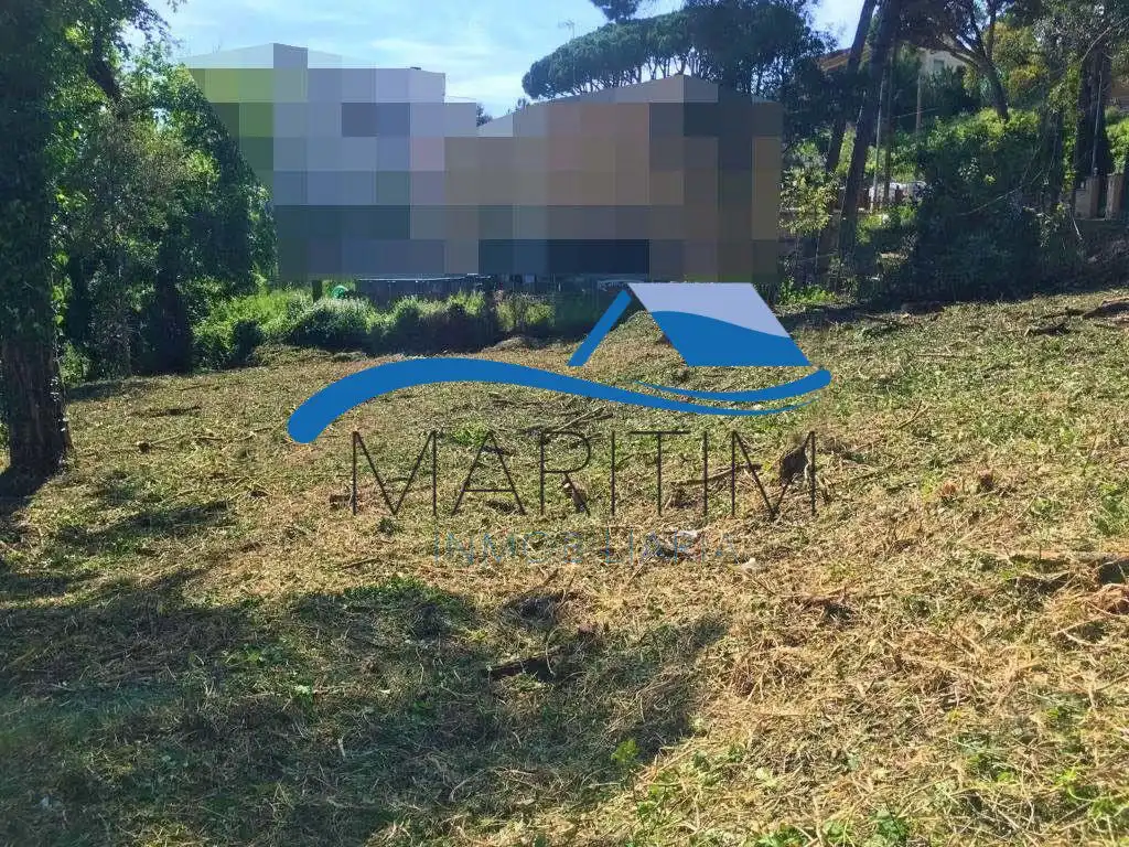 Lands and plots for sale in Carolina Coronado, imagen 3