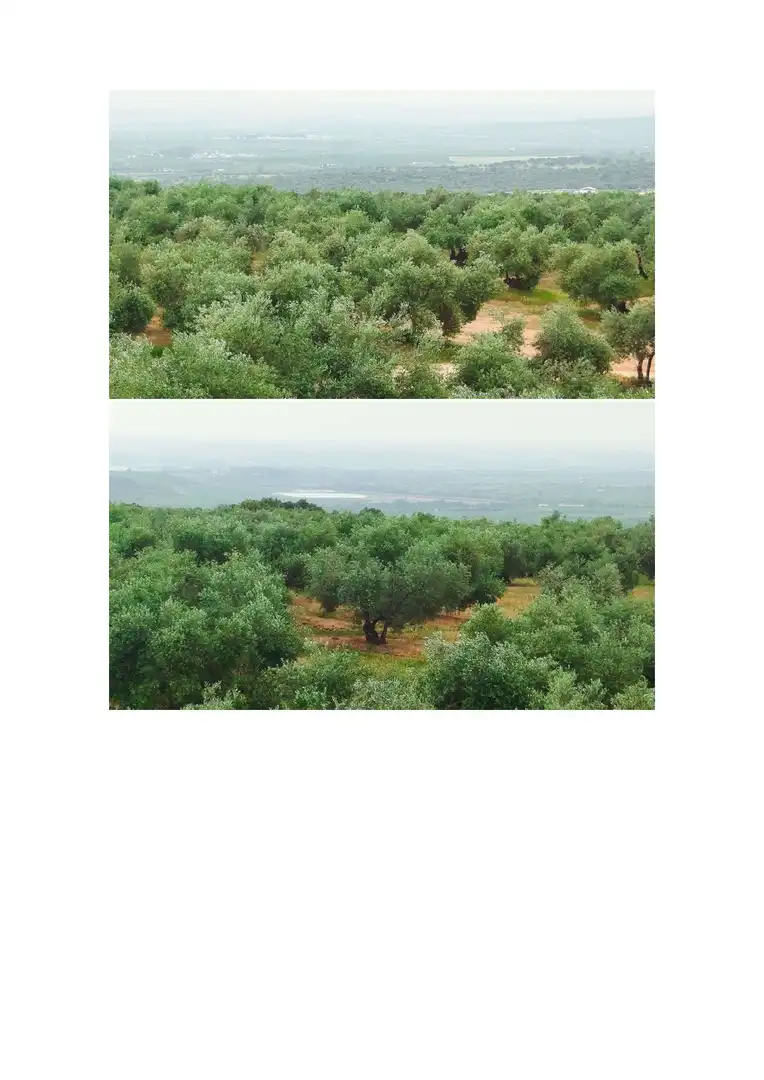 Terreno en venta en Hornachuelos