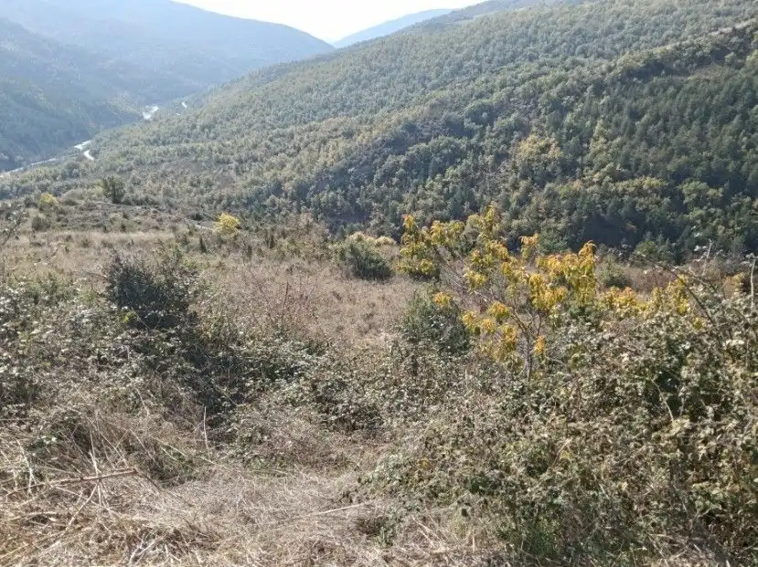 Terreni e lotti in vendita a Alta, imagen 12