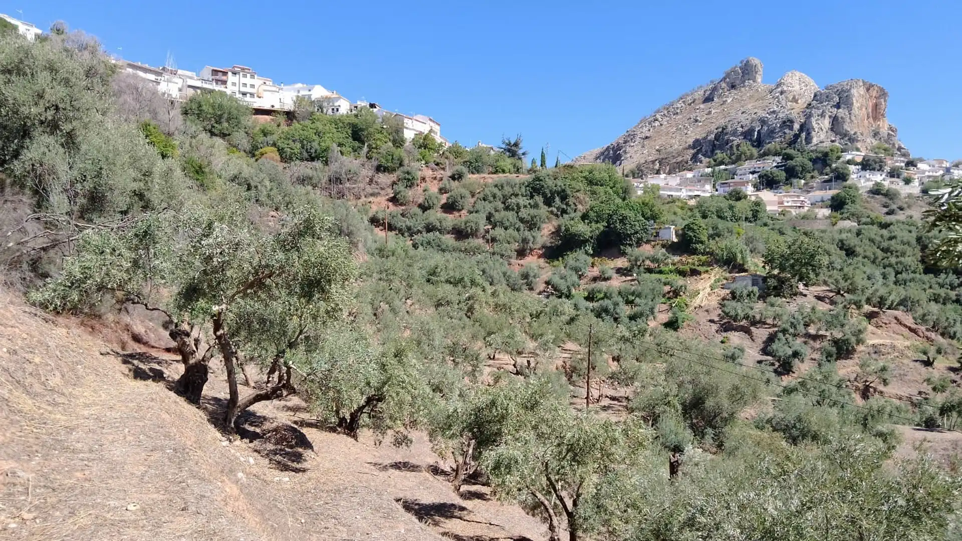 Vista exterior de Terreno en venta en Cogollos de la Vega