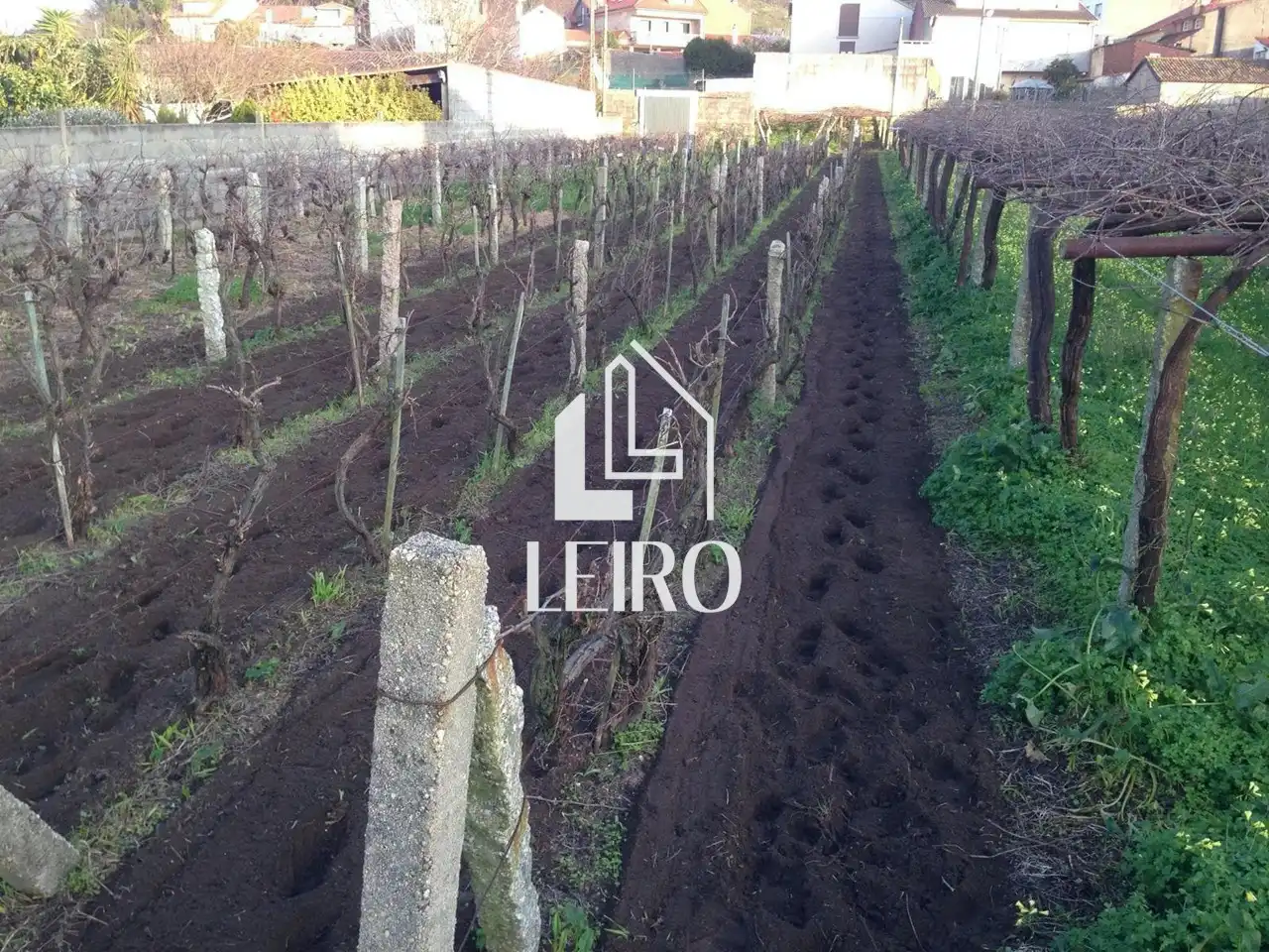 Terreno rustico in vendita a Cambados, imagen 3