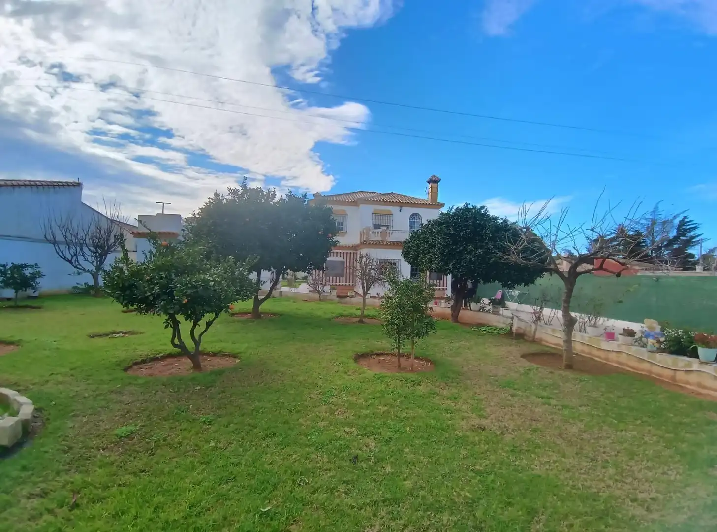 Vista exterior de Casa o chalet en venta en Chiclana de la Frontera con Jardín privado