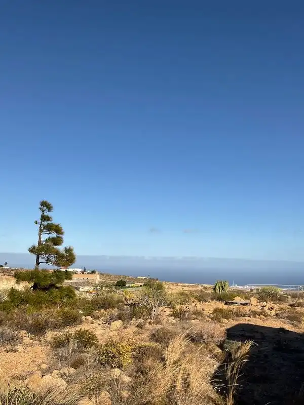 Vista exterior de Terreno en venta en El Desierto