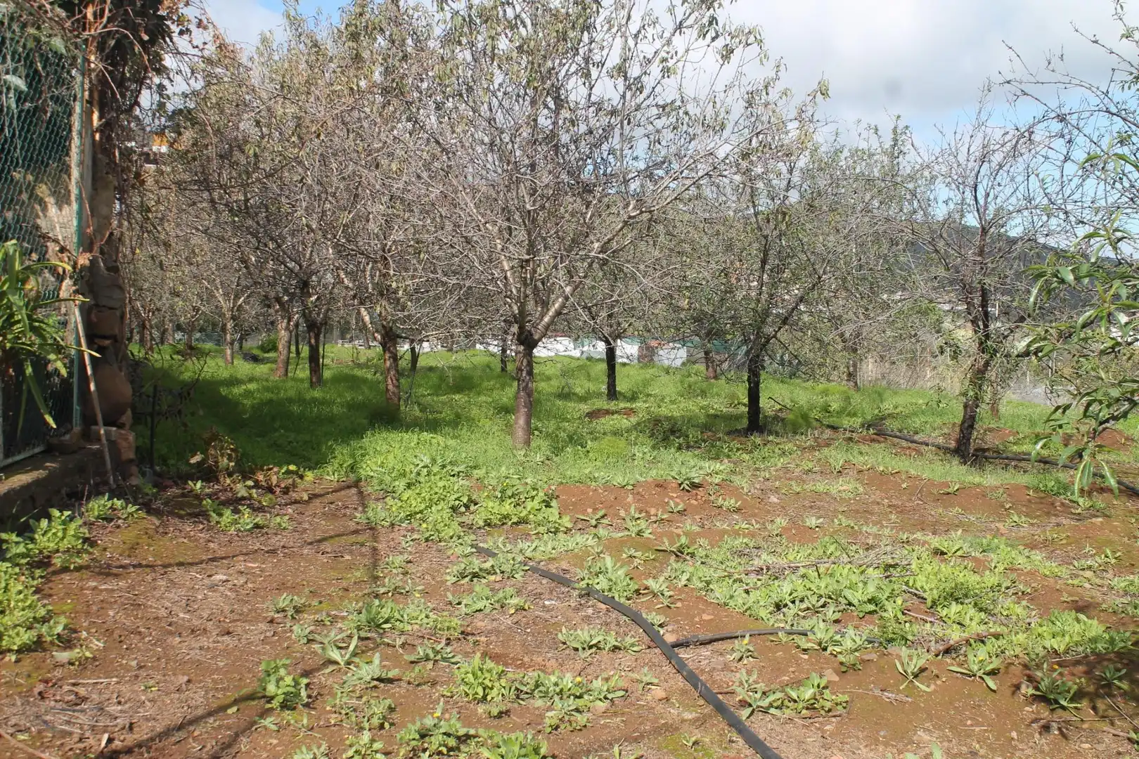 Terreny rústic en venda a Valsequillo de Gran Canaria, imagen 7