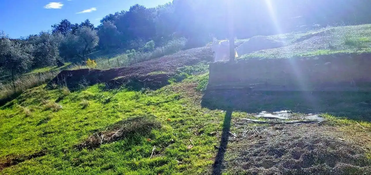 Finca rústica en venda en San Nicolás del Puerto