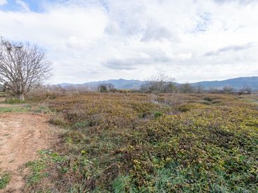 Terreno rústico en venta en Carretera d’Alcanar 3