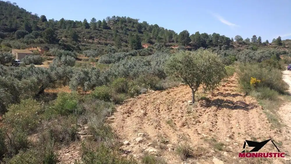 Terrain rustique à vendre à Riba-roja d'Ebre, imagen 19