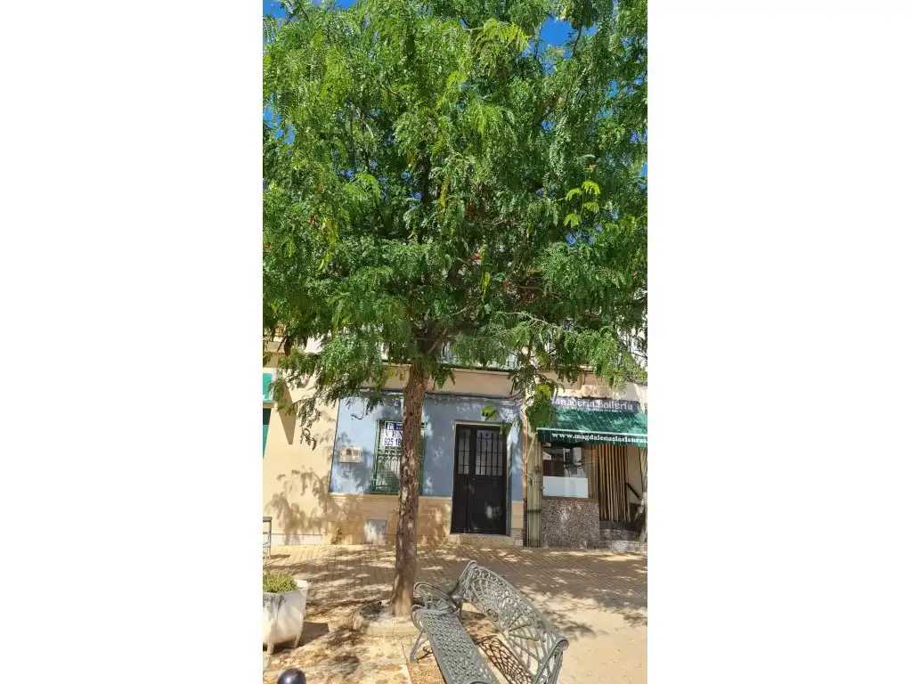 Casa o xalet en venda a Plaza de la Constitución, 8, Los Hinojosos