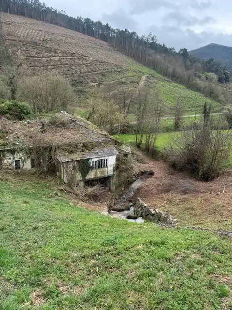 Vista exterior de Finca rústica en venta en Castropol
