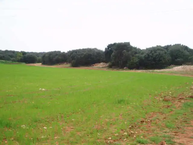 Terreni e lotti in vendita a Motilla del Palancar, imagen 8
