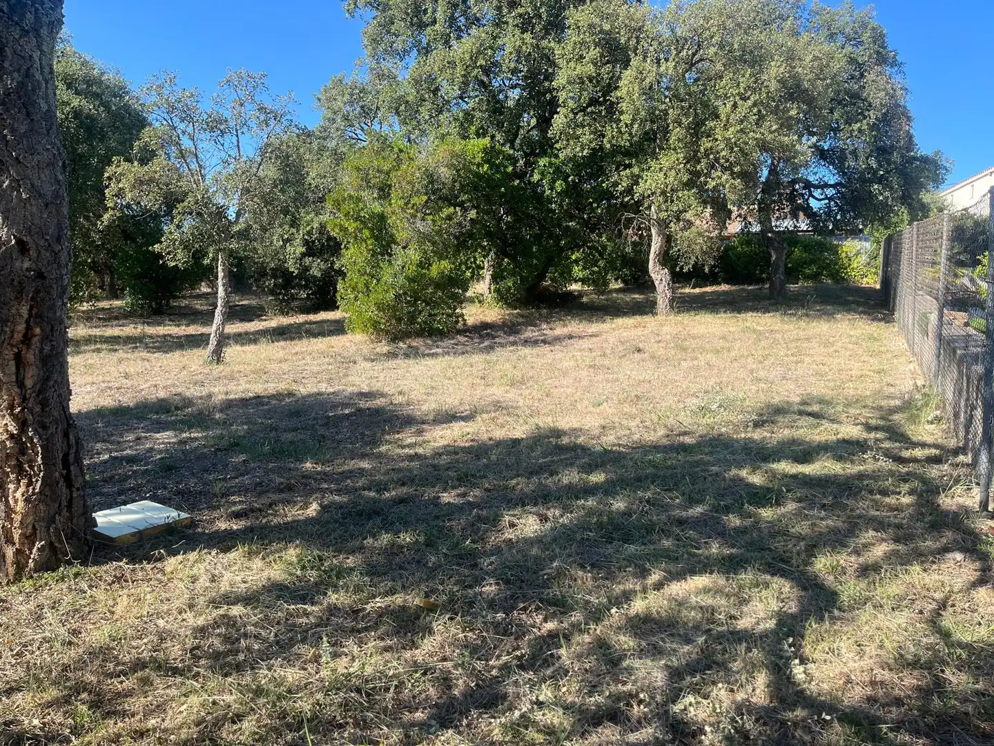 Terreny residencial en venda a Carrer Pla de l'Estany 3, imagen 5