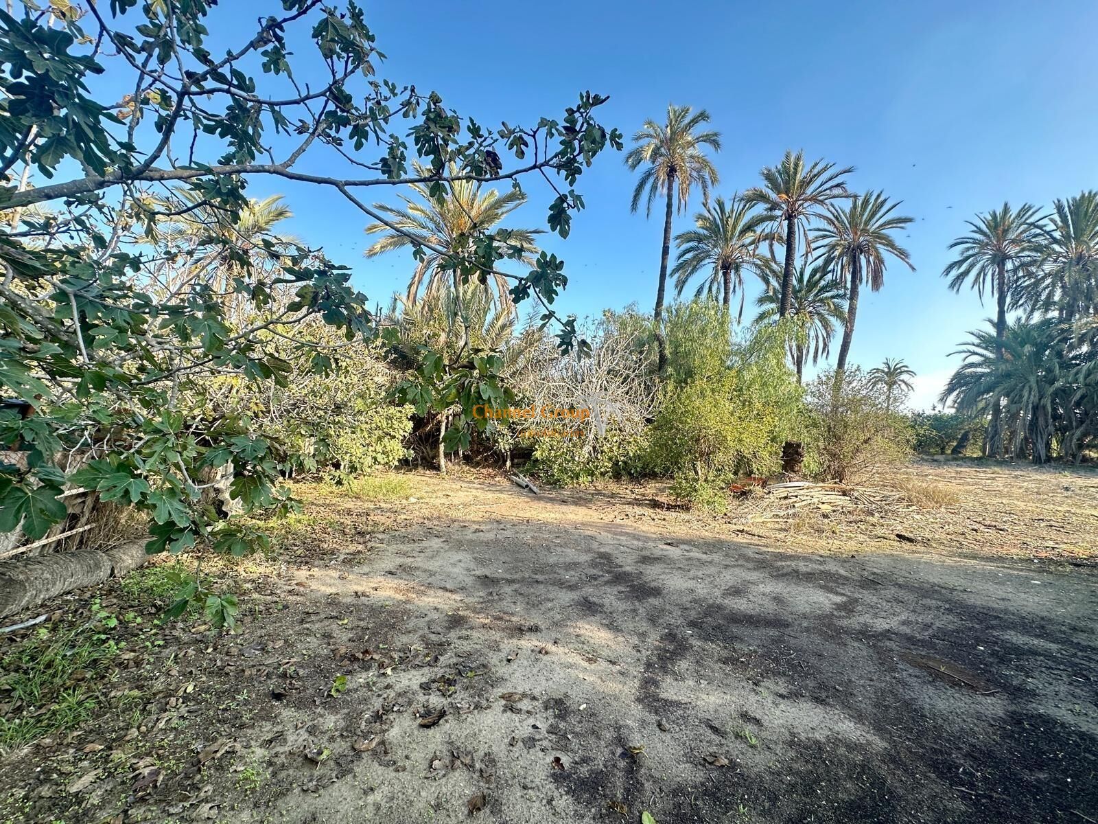 Finca rústica en venda a Algorós - El Derramador, Elche / Elx