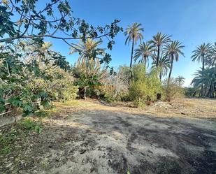 Finca rústica en venda a Algorós - El Derramador