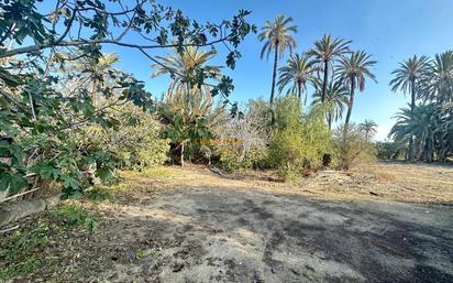 Finca rústica en venda a Algorós - El Derramador, Elche / Elx