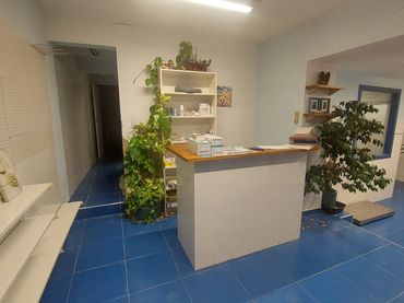 Locale commerciale in affitto a L'Ametlla de Mar pueblo
