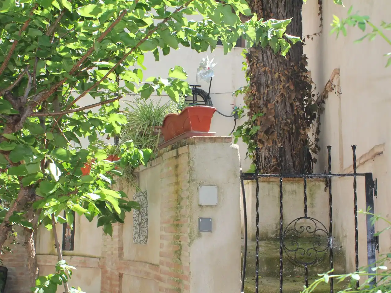 Casa amb jardí en venda a San juan de los Reyes 2, imagen 4