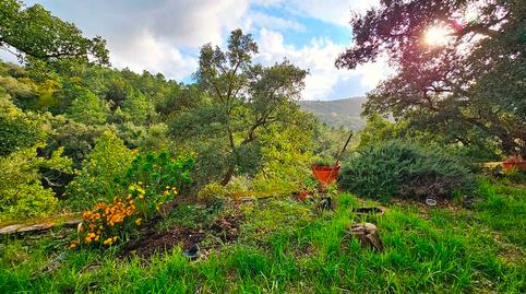 Foto 5 de Finca rústica en venta en Castaño del Robledo, Huelva