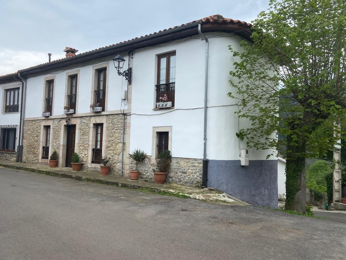 Exterior view of House or chalet for sale in Peñamellera Alta  with Storage room and Furnished