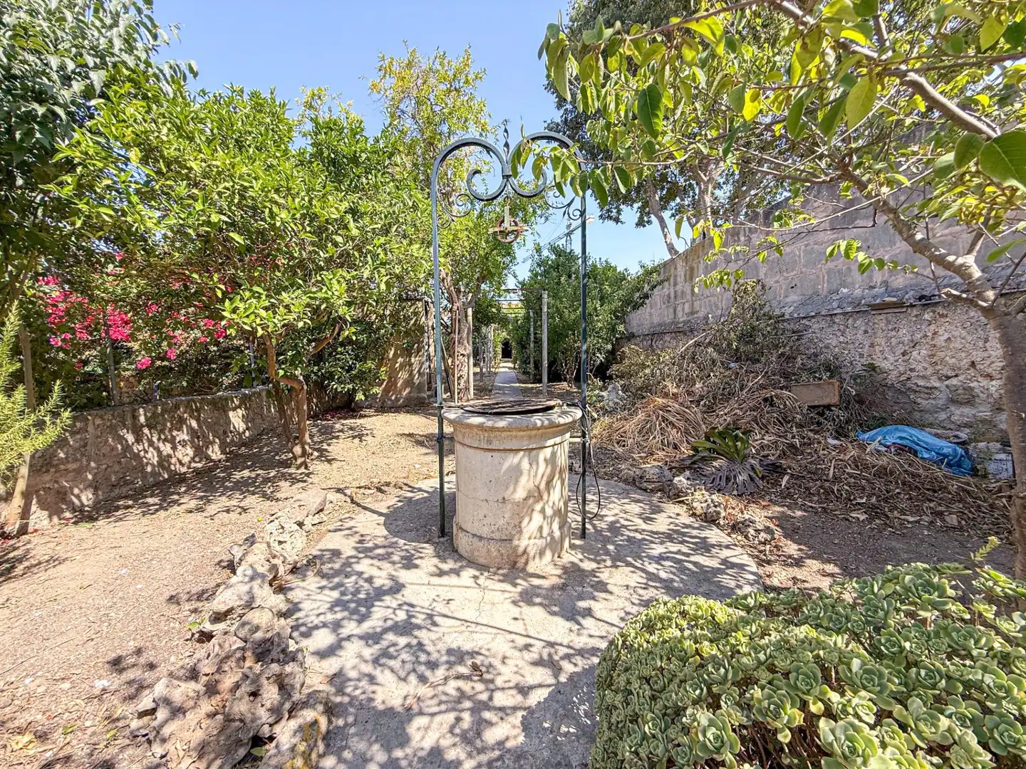 Jardí de Casa adosada en venda en Consell amb Jardí privat i Terrassa