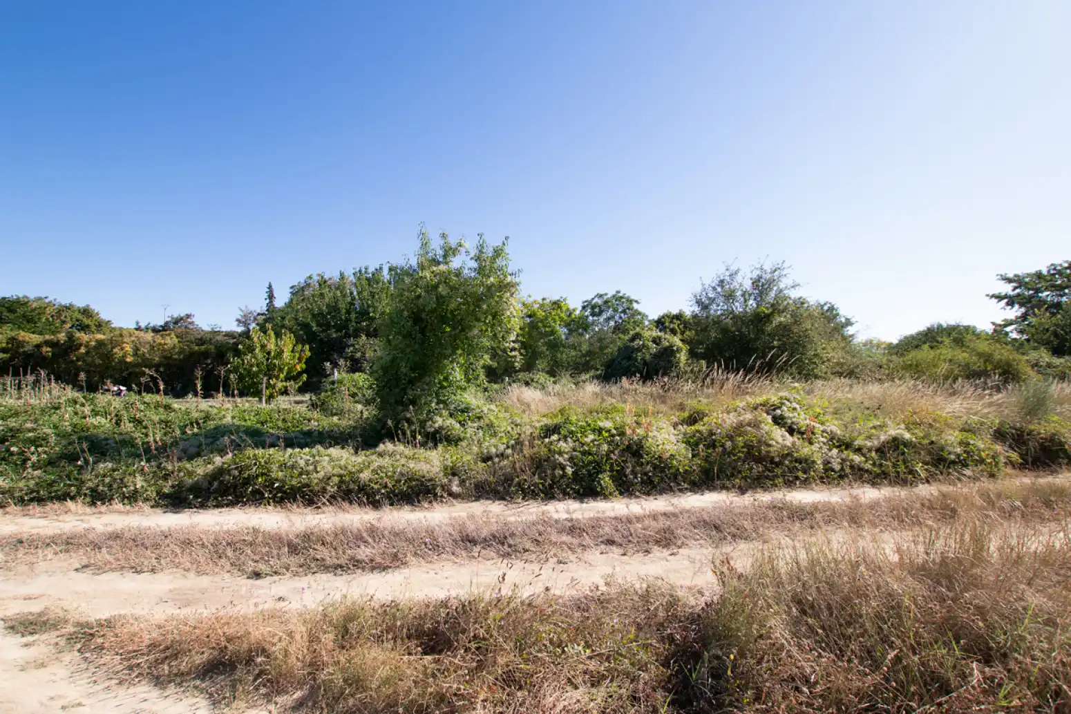 Land for sale in Tafalla - PARAJE MAKOTXA, Tafalla