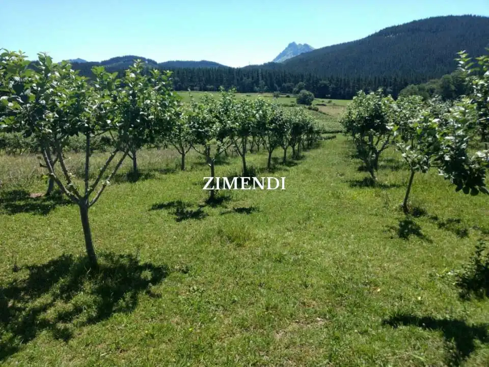 Terreno rustico in vendita a Abadiño, imagen 3