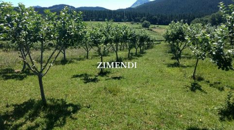 TERRENO RUSTICO, imagen 3