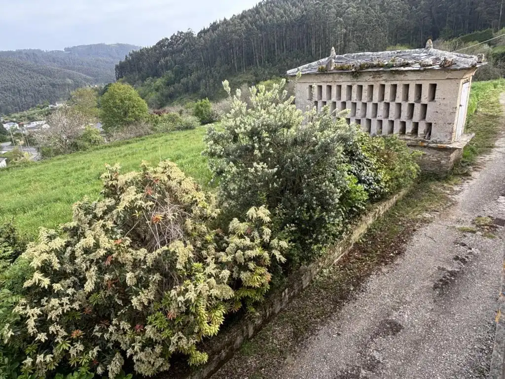 Casa rústica amb terrassa en venda a Mañón, imagen 29