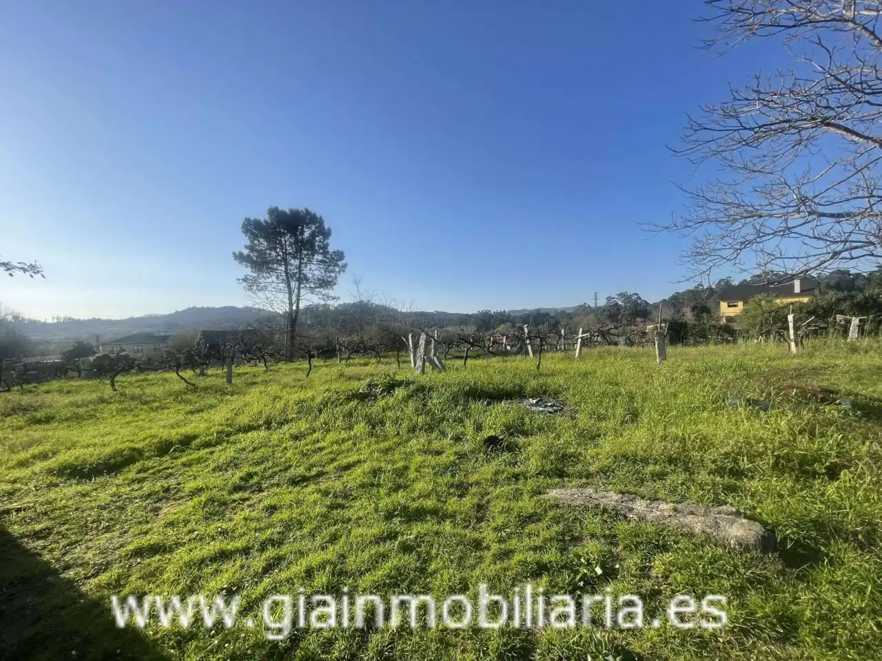 Casa con jardín en venta en Calle Xestal, imagen 15