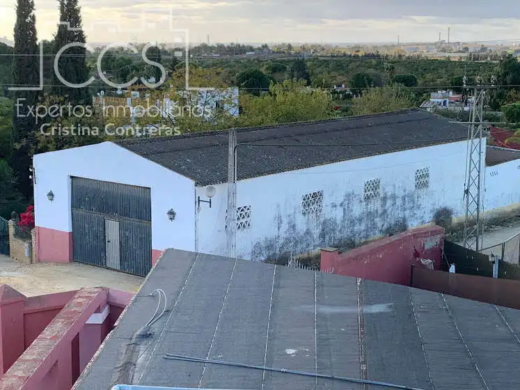 Vista exterior de Finca rústica en venta en Alcalá de Guadaira con Piscina y Amueblado
