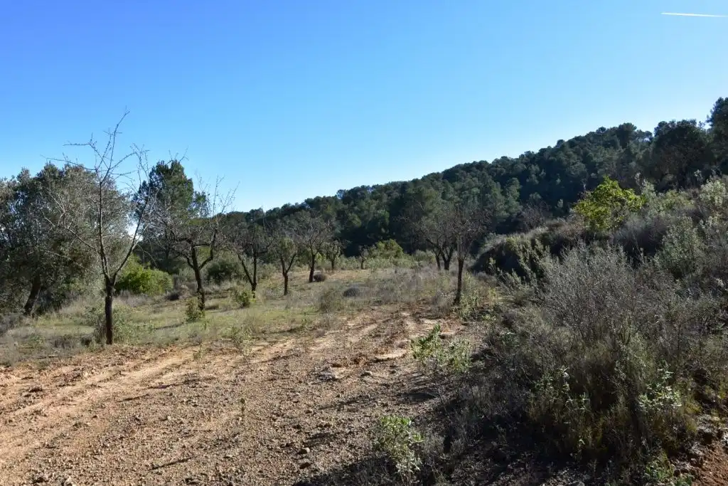 Finca rústica en venda en Arens de Lledó