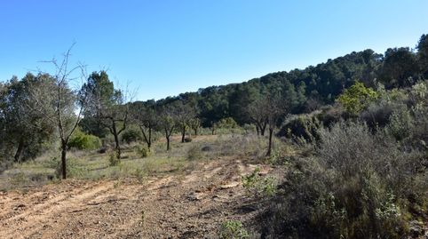 Photo 2 of Country homes for sale in Arens de Lledó, Teruel