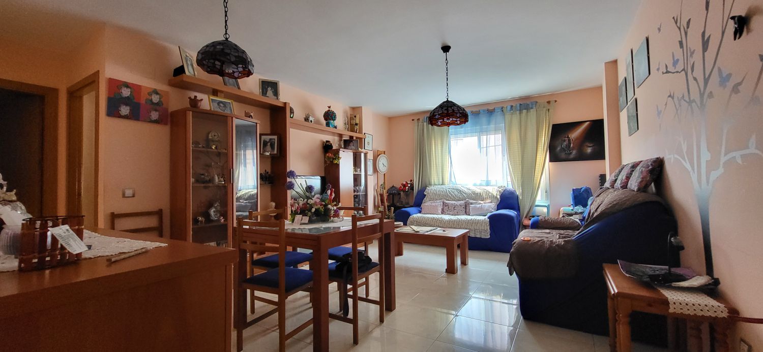 Sala d'estar de Apartament en venda en Tortosa