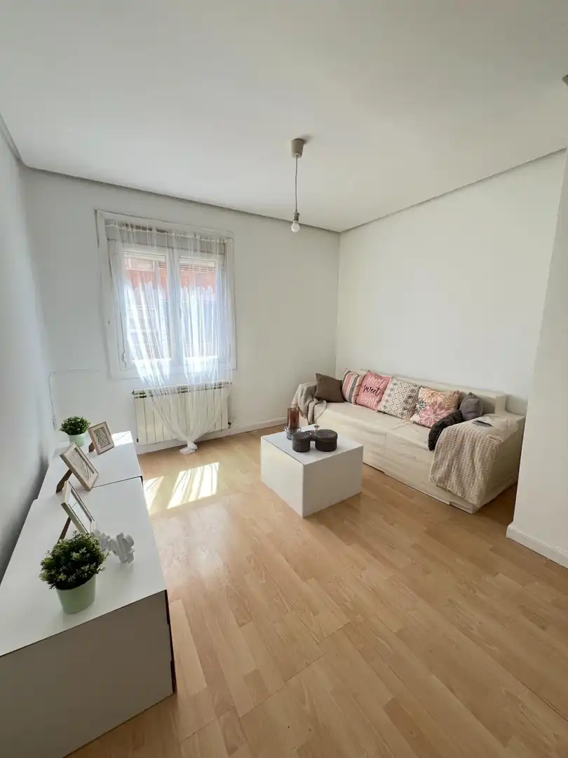 Sala d'estar de Apartament de lloguer en Madrid amb Aire condicionat i Calefacció